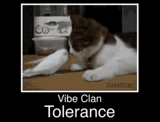 a picture of a cat and a bird with the words vibe clan tolerance below it