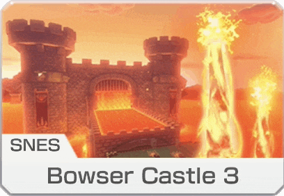 a video game called bowser castle 3 for the snes