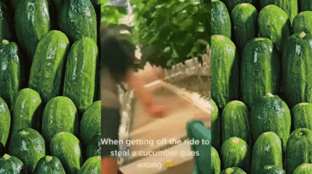 Cucumber Lady Living With The Land GIF - Cucumber Lady Living With The Land GIFs