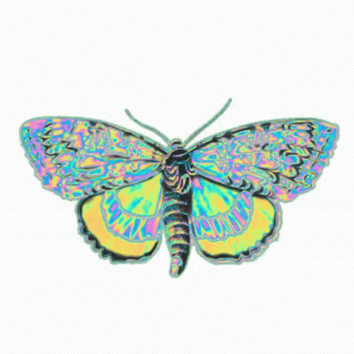 Holographic Why Though GIF - Holographic Why Though Butterfly GIFs