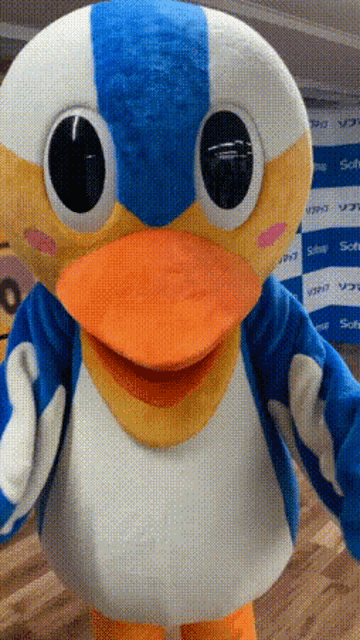 a blue and white duck mascot is standing in front of a wall that says soft