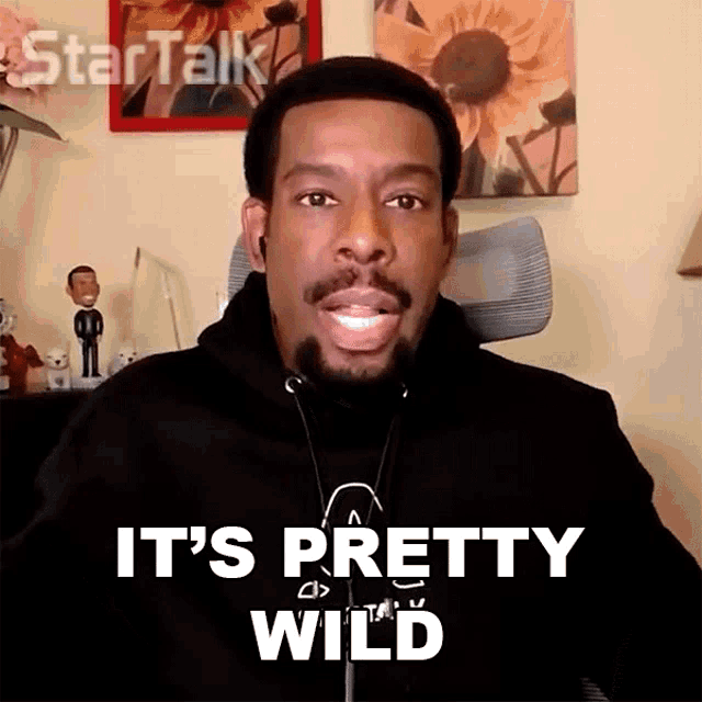 a man says it 's pretty wild in front of a picture of sunflowers