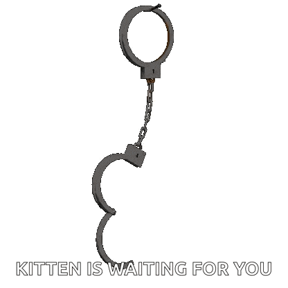 a pair of handcuffs on a chain with the words kitten is waiting for you below them