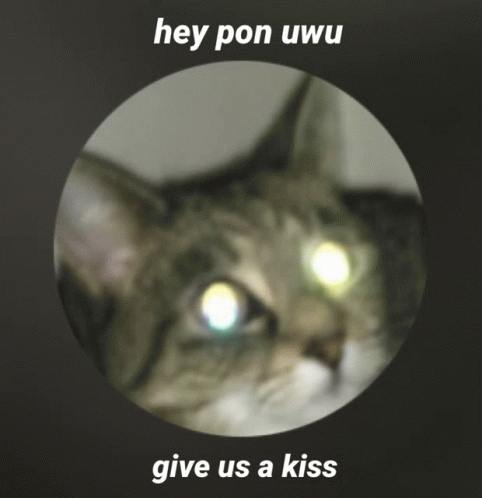 Pon Kiss GIF - Pon Kiss GIFs