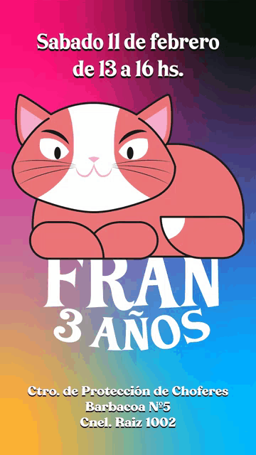 a colorful poster with a cat and the words fran 3 anos