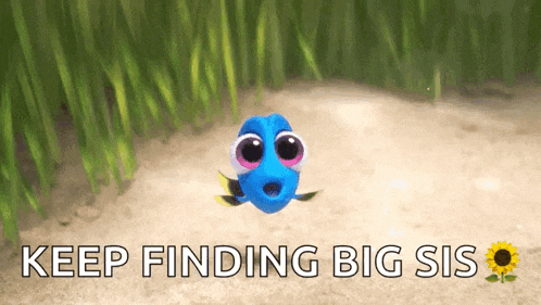 a picture of a fish with the words " keep finding big sis "