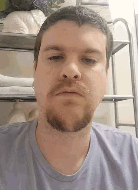 a man with a beard wearing a blue shirt looks at the camera