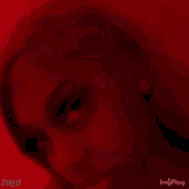 a close up of a woman 's face in a red background with a feather in her hair .