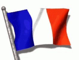 France Flag GIF - France Flag GIFs