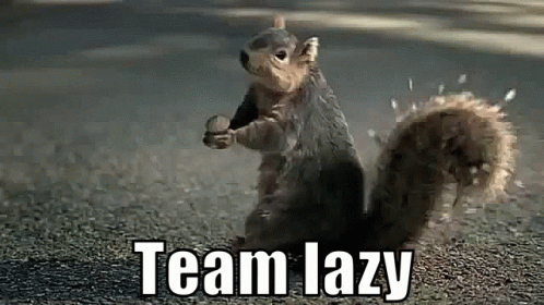 Lazy Team Lazy GIF - Lazy Team Lazy Squirrel GIFs