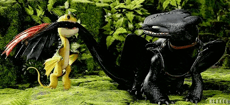 toothless and hiccup from how to train your dragon are standing next to each other in the jungle .