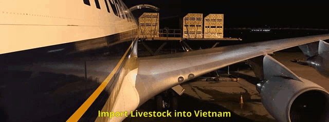 an airplane with the words import livestock into vietnam written on it
