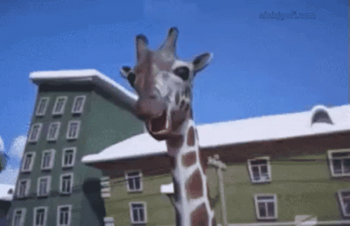 Giraffe жираф GIF - Giraffe жираф Talking GIFs