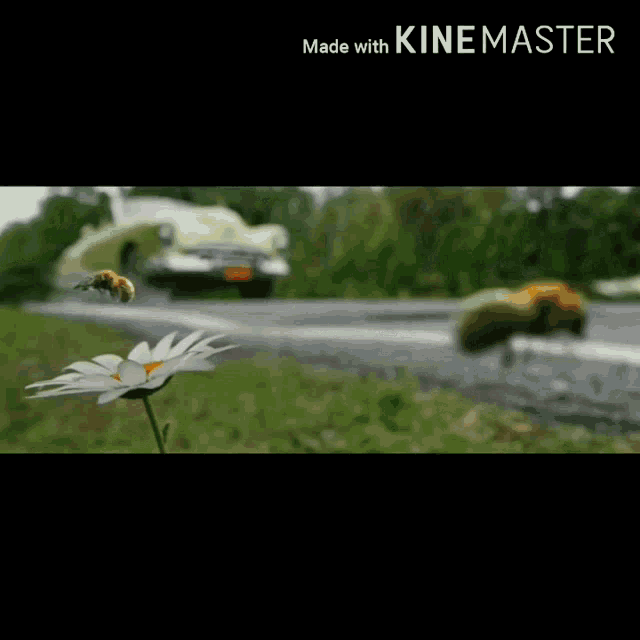 a bee is flying over a daisy and the words made with kinemaster are on the bottom