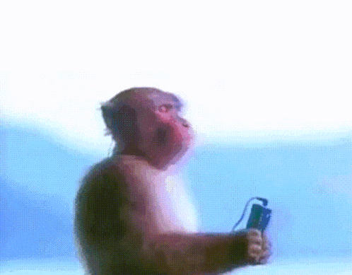 a monkey is holding a microphone in its hand
