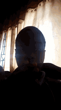 a person 's head is visible through a window