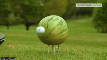Watermelon Smash - Golf GIF - Golf Smash Watermelon GIFs