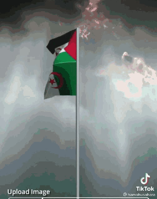 a flag on a pole with a cloudy sky behind it