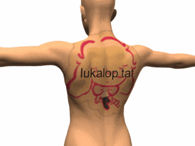a computer generated image of a man 's back with lukalop.tat written on the bottom
