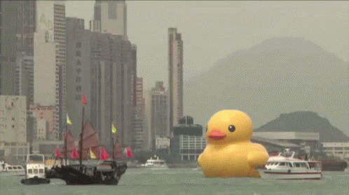 A Giant Inflatable Duck Hoping To Spread Peace Since 2007 Made An Appearance In Hong Kong. GIF - Giant Rubber Ducky Omg Hong Kong GIFs