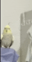 a bird is sitting on top of a person 's head in a room .
