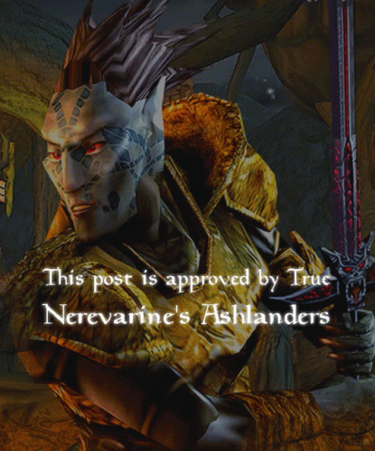 Approved Morrowind GIF - Approved Morrowind Nerevar GIFs