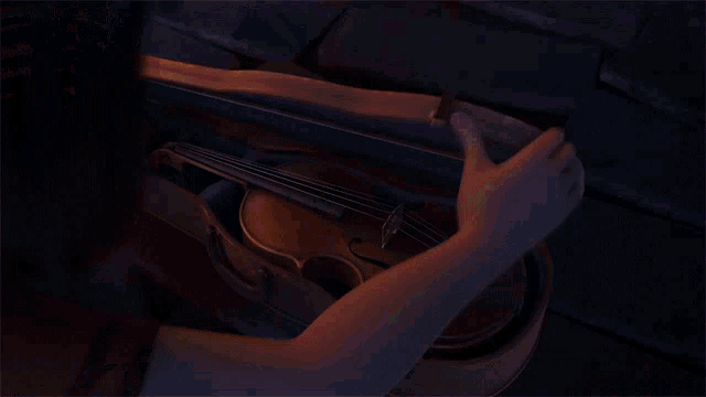 Playing Violin Classic Music GIF