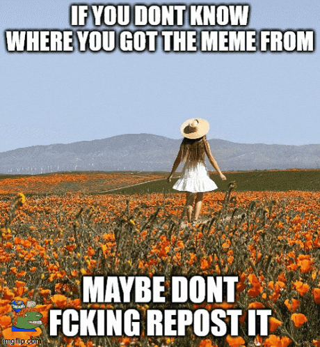 a woman in a white dress stands in a field of flowers