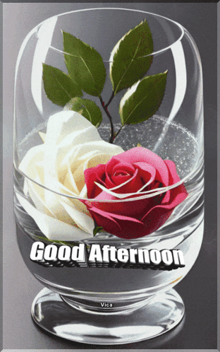 a glass with two roses in it and the words good afternoon