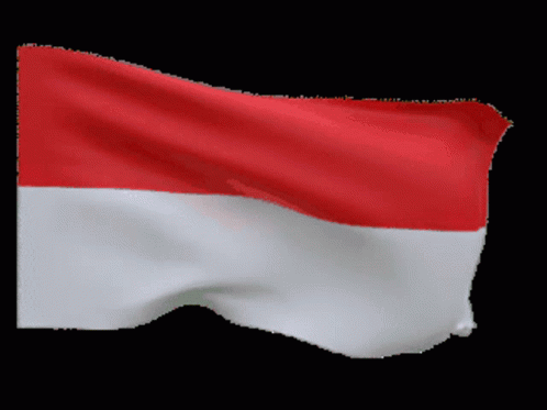 Indonesia Flag GIF - Indonesia Flag Merdeka GIFs