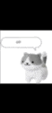 a gray and white cat is talking with a speech bubble above it