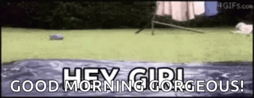 Sup Hows It Going GIF - Sup Hows It Going Hey Girl GIFs