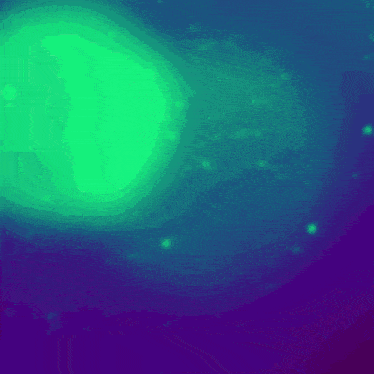 a blue and purple background with a green circle in the center
