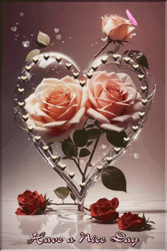 two roses in a heart shaped vase with the words have a nice day below