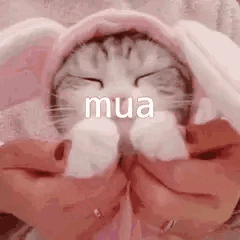 Muah Cat GIF - Muah Cat GIFs