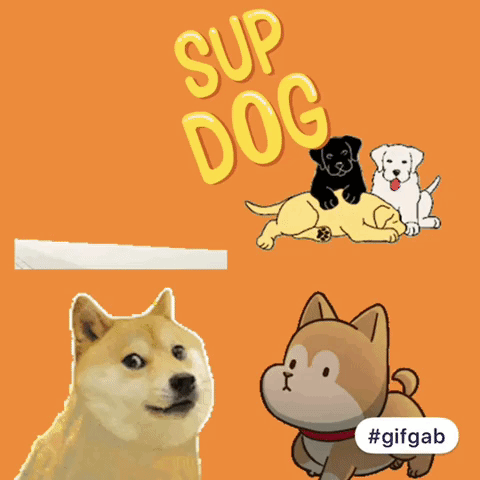 Supdog Dogs GIF - Supdog Dogs Whatsupdog GIFs