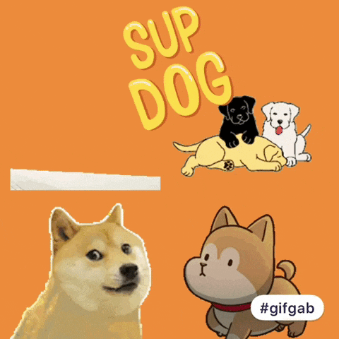 a picture of a dog that says sup dog on it