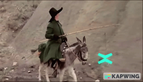 Elrond Multiversx GIF - Elrond Multiversx Donkey GIFs