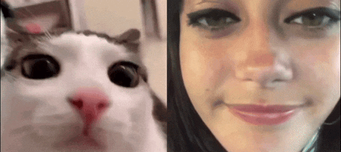 a close up of a cat and a close up of a woman 's face
