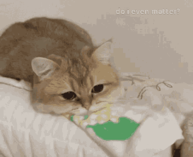 Sad Cat GIF - Sad Cat Depressed Cat GIFs