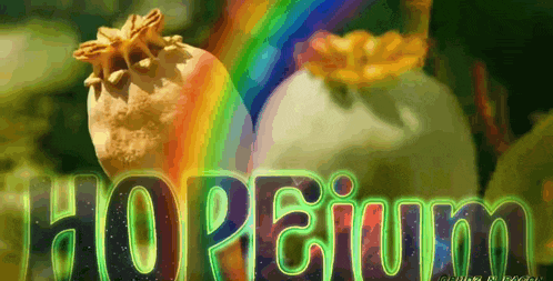 a picture of a rainbow and the word hoperium