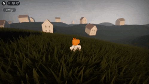 a person standing in a field with houses in the background and a button that says settings