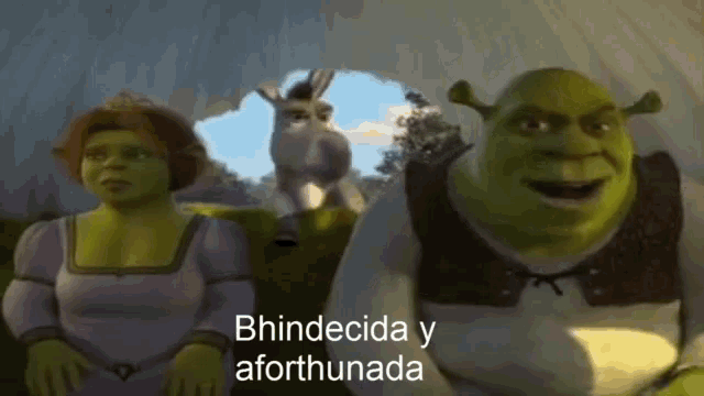 shrek and fiona are standing next to each other and shrek says " bhidecida y aforthunada "