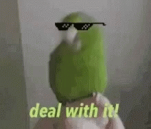 Deal With It Swag GIF - Deal With It Swag Cool GIFs