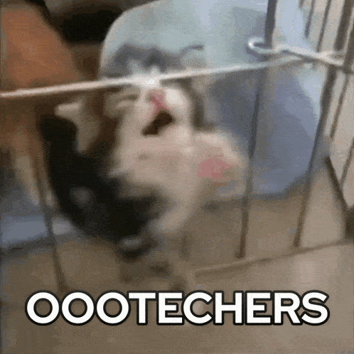 a cat is in a cage with the words oootechers written on the bottom