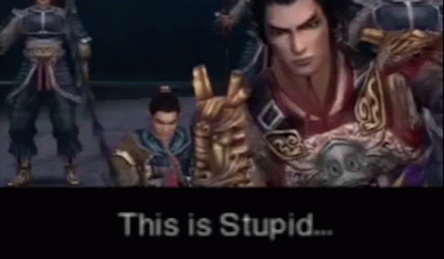 This Is Stupid Dynasty Warriors GIF - This Is Stupid Dynasty Warriors Tecmo Koei GIFs