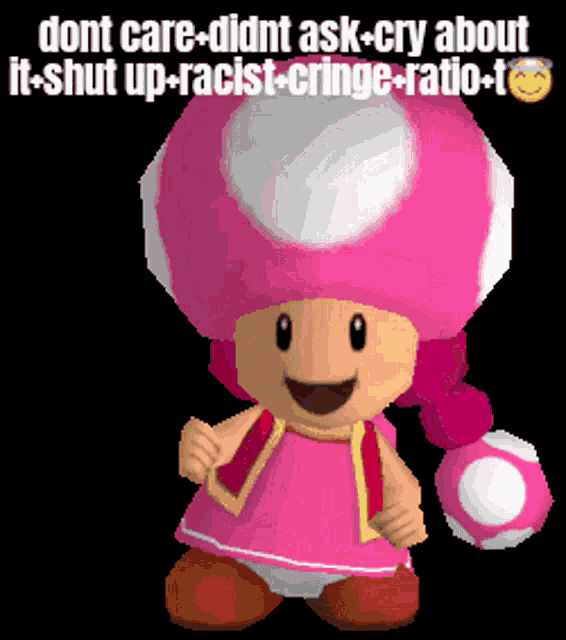a pixelated image of a pink toad with the words " dont care didnt ask cry about it shut up racist cringe ratio "