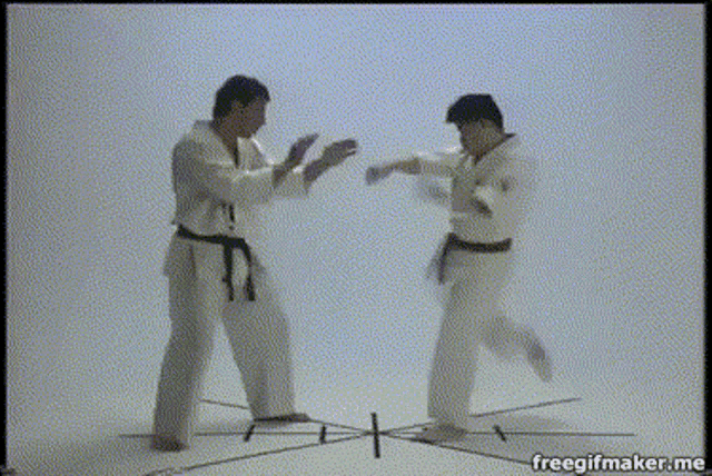 Karate Kyokushin GIF - Karate Kyokushin Oofed GIFs