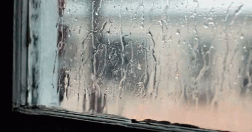 Window Pane GIF - Window Pane Rain GIFs