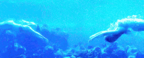 two mermaids are swimming in the ocean surrounded by fish